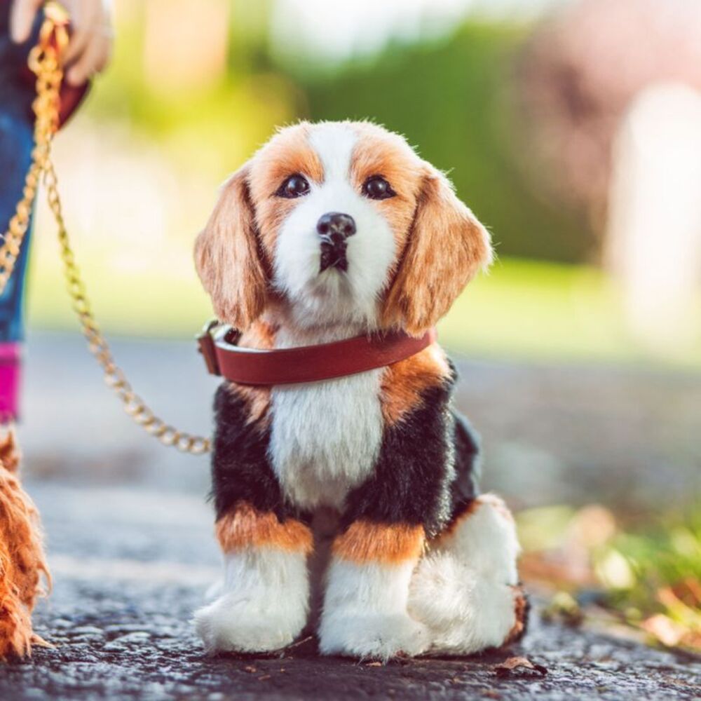 The Queen's Treasures 18 In  Doll  Beagle Puppy Dog with Leash and Collar
